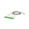 Pigtail de fibra óptica （12 fibras）