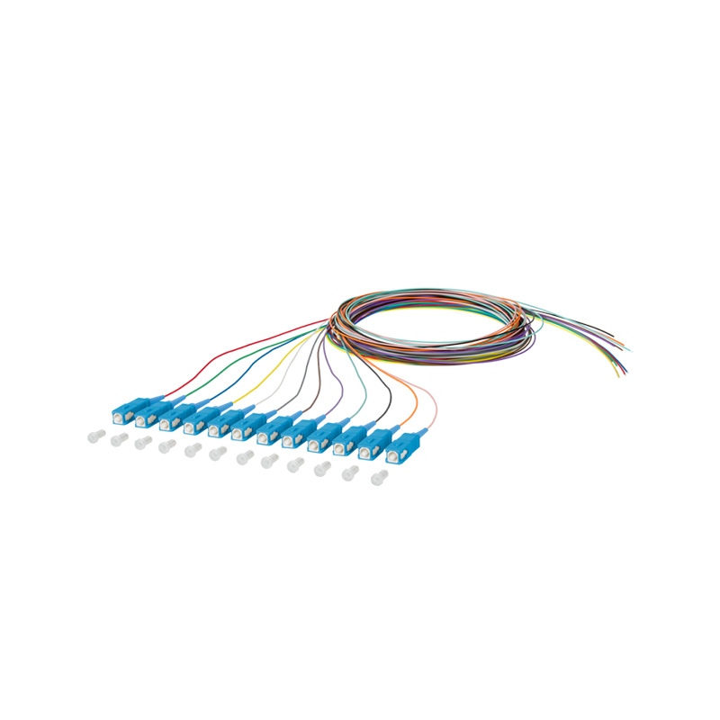 Pigtail de fibra óptica （12 fibras）