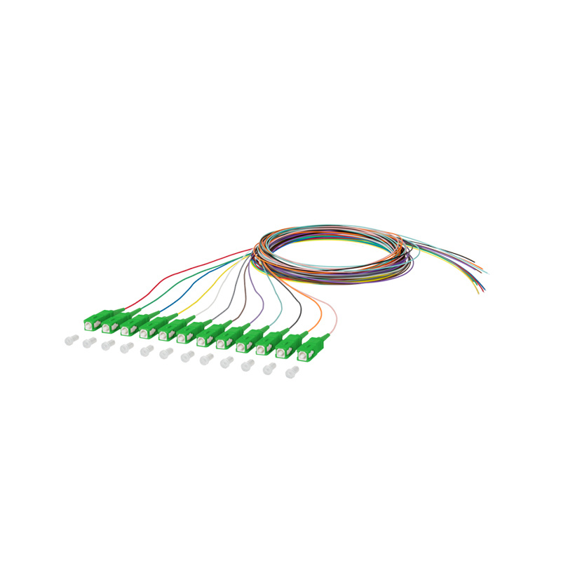 Pigtail de fibra óptica （12 fibras）