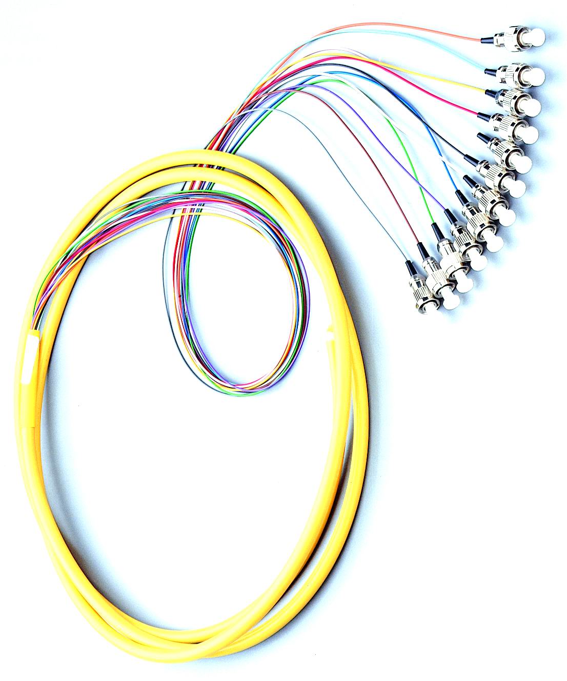 Pigtail de fibra óptica （12 fibras）