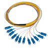 Pigtail de fibra óptica （12 fibras）