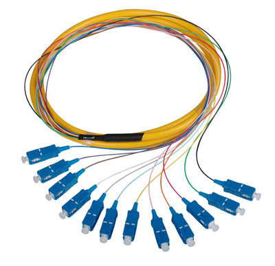 Pigtail de fibra óptica （12 fibras）